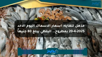 مذهل للغاية: أسعار الأسماك اليوم الأحد 20-4-2025 بمطروح.. البلطي يبلغ 80 جنيهاً